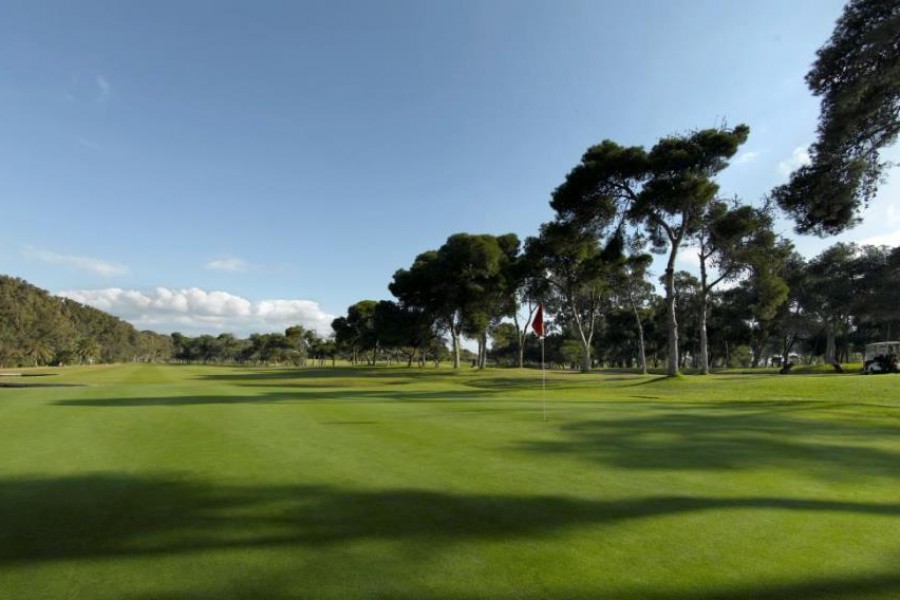 Parador Malaga Golf 2456