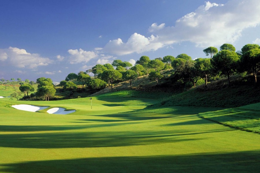 Sueno Golf Club Pines 5216