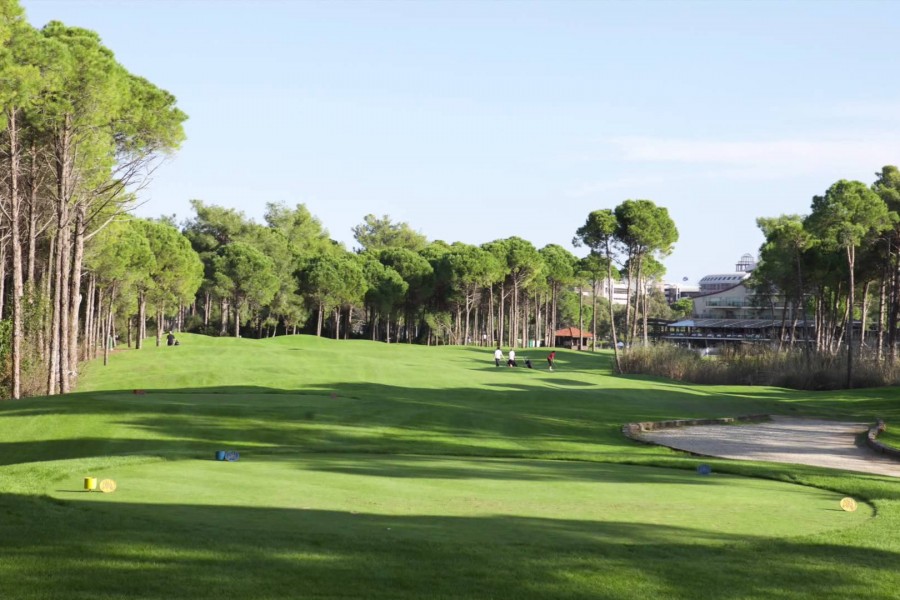Sueno Golf Club Pines 5217