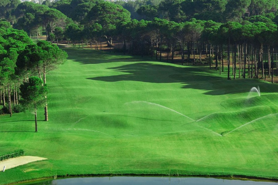 Sueno Golf Club Pines 5219