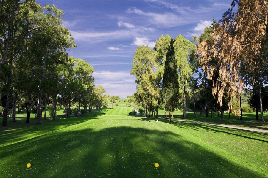 Atalaya Golf & Country Club 2184