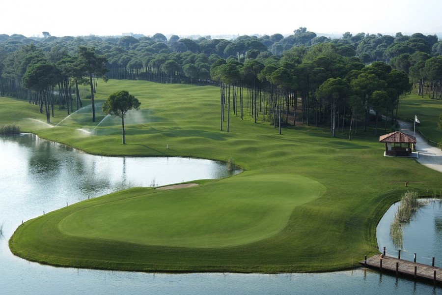 Sueno Golf Club Pines 5221