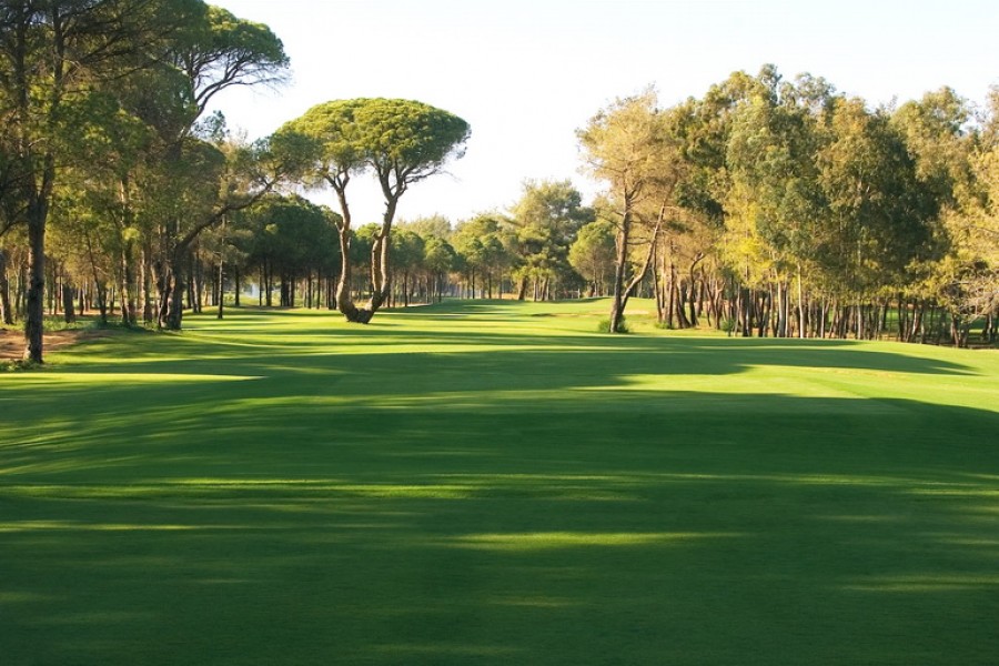 Kaya Palazzo Golf Club 4765