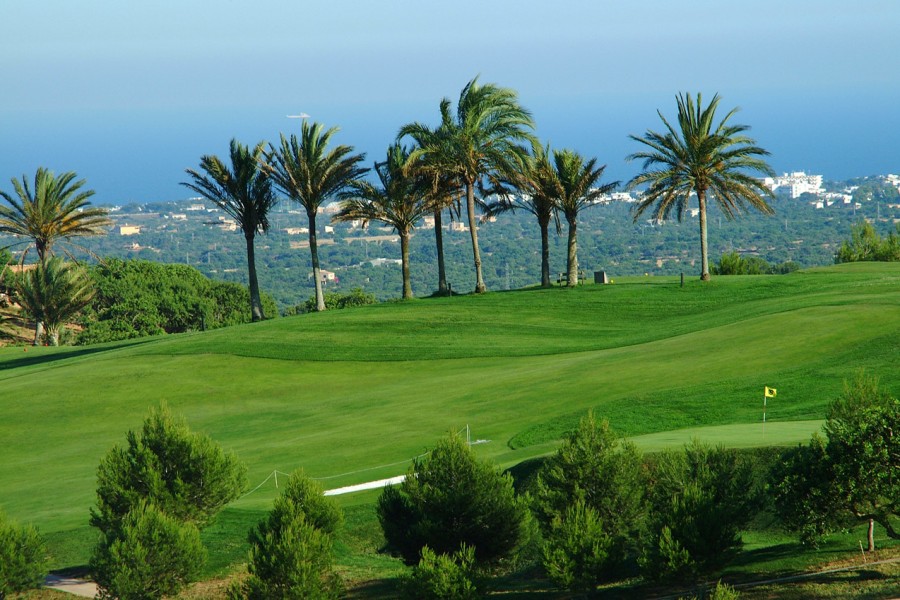 Vall D'or Golf 3547