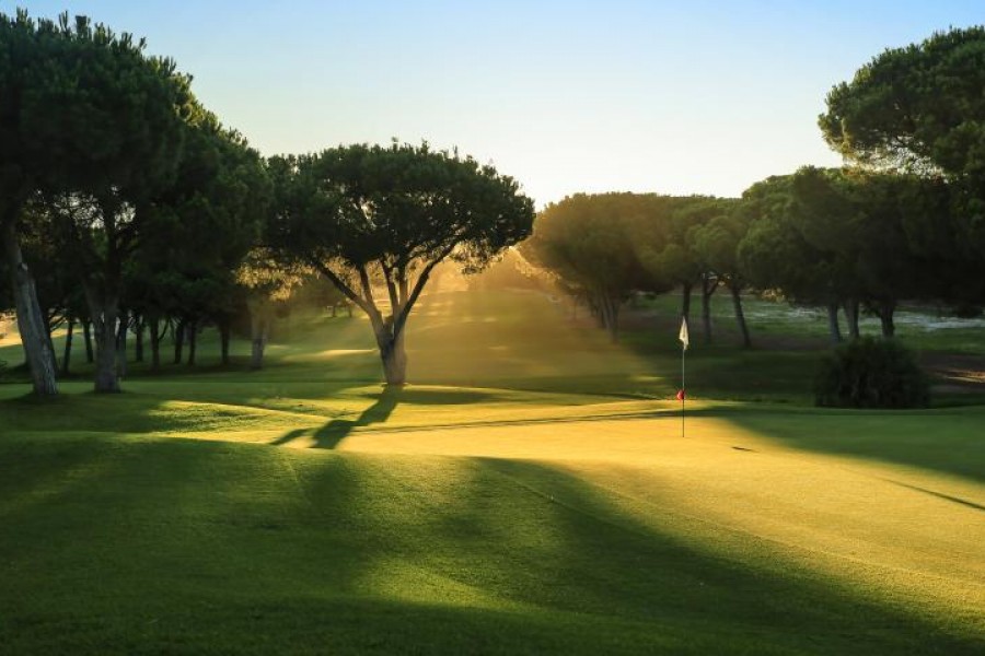 Pinhal Golf Course 1140