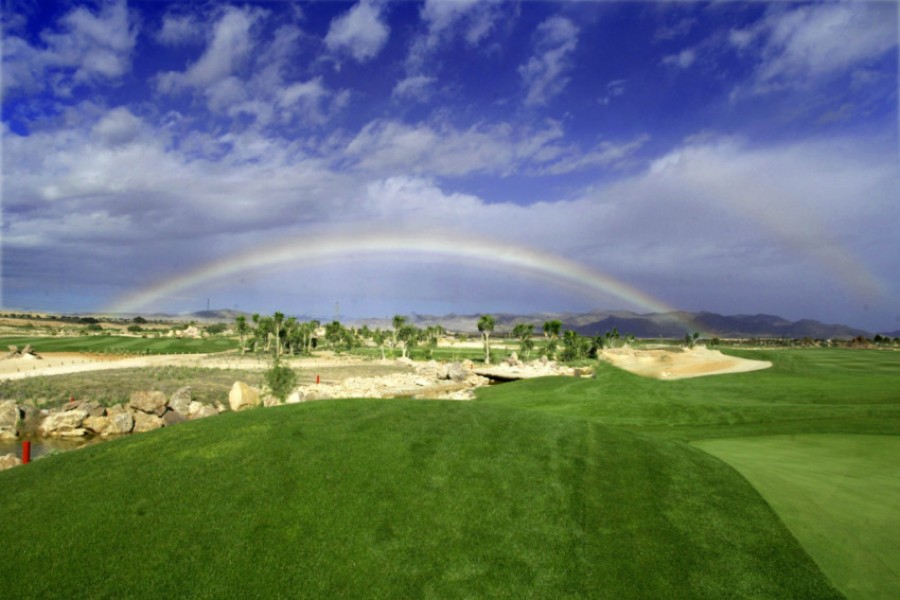 Desert Springs Golf Club 648