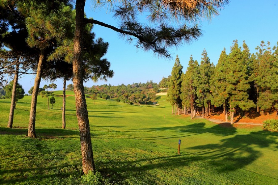 El Chaparral Golf Club 2464