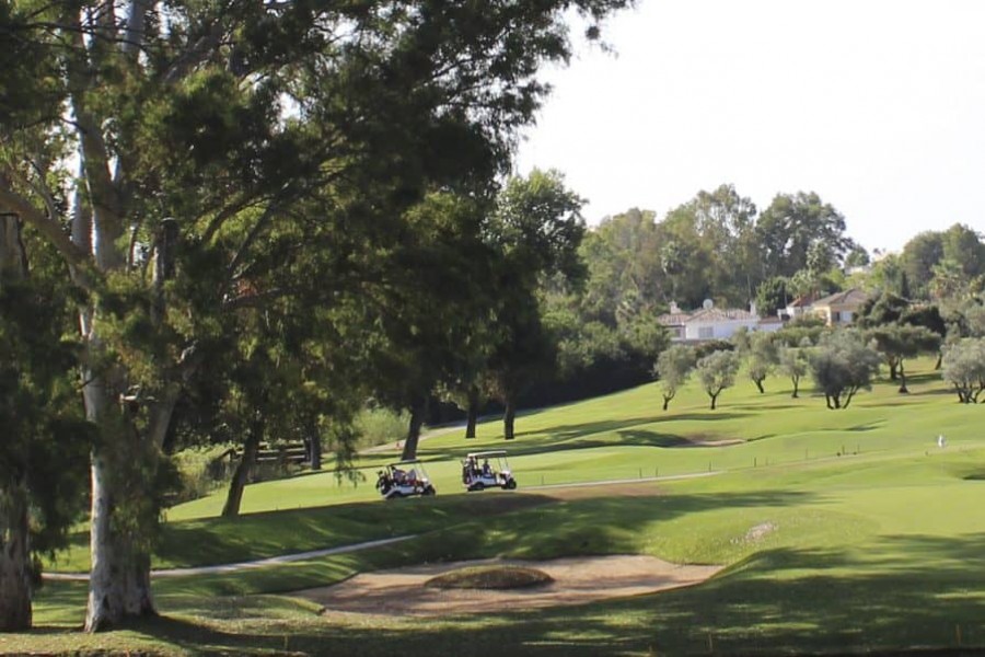 Los Naranjos Golf Club 4650