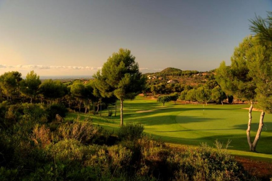 Vall D'or Golf 3549